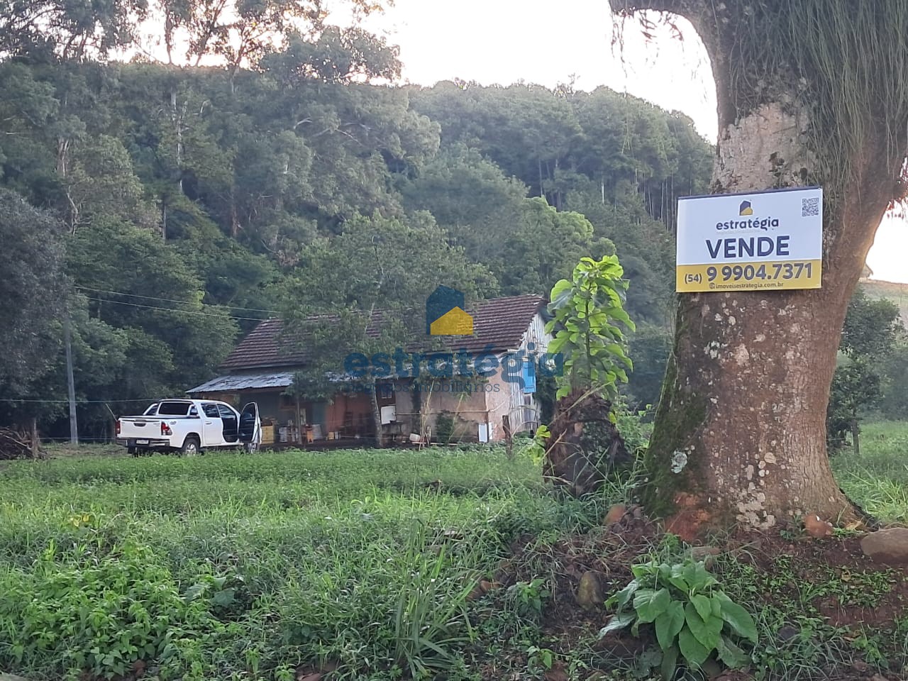 ÁREA DE TERRA EM SANTA CECÍLIA | Estratégia Negócios Imobiliários
