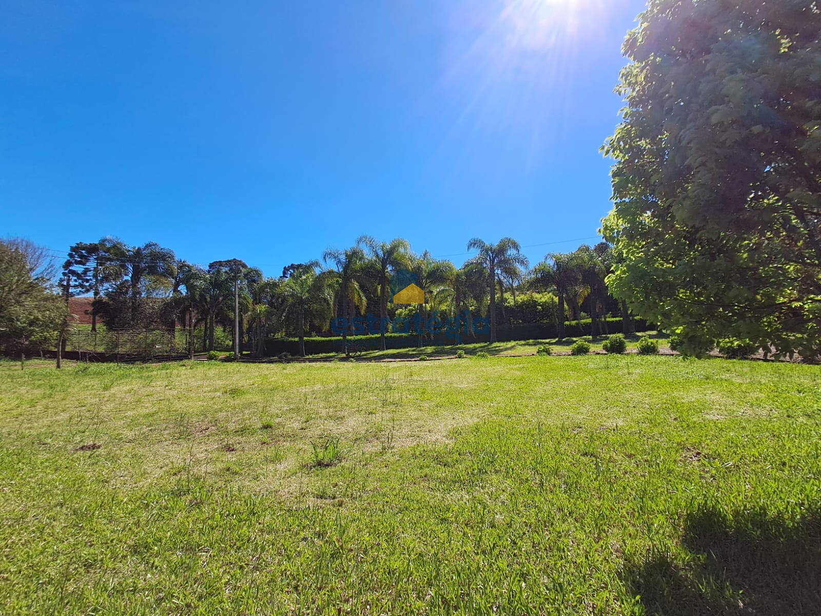 Estratégia Negócios Imobiliários