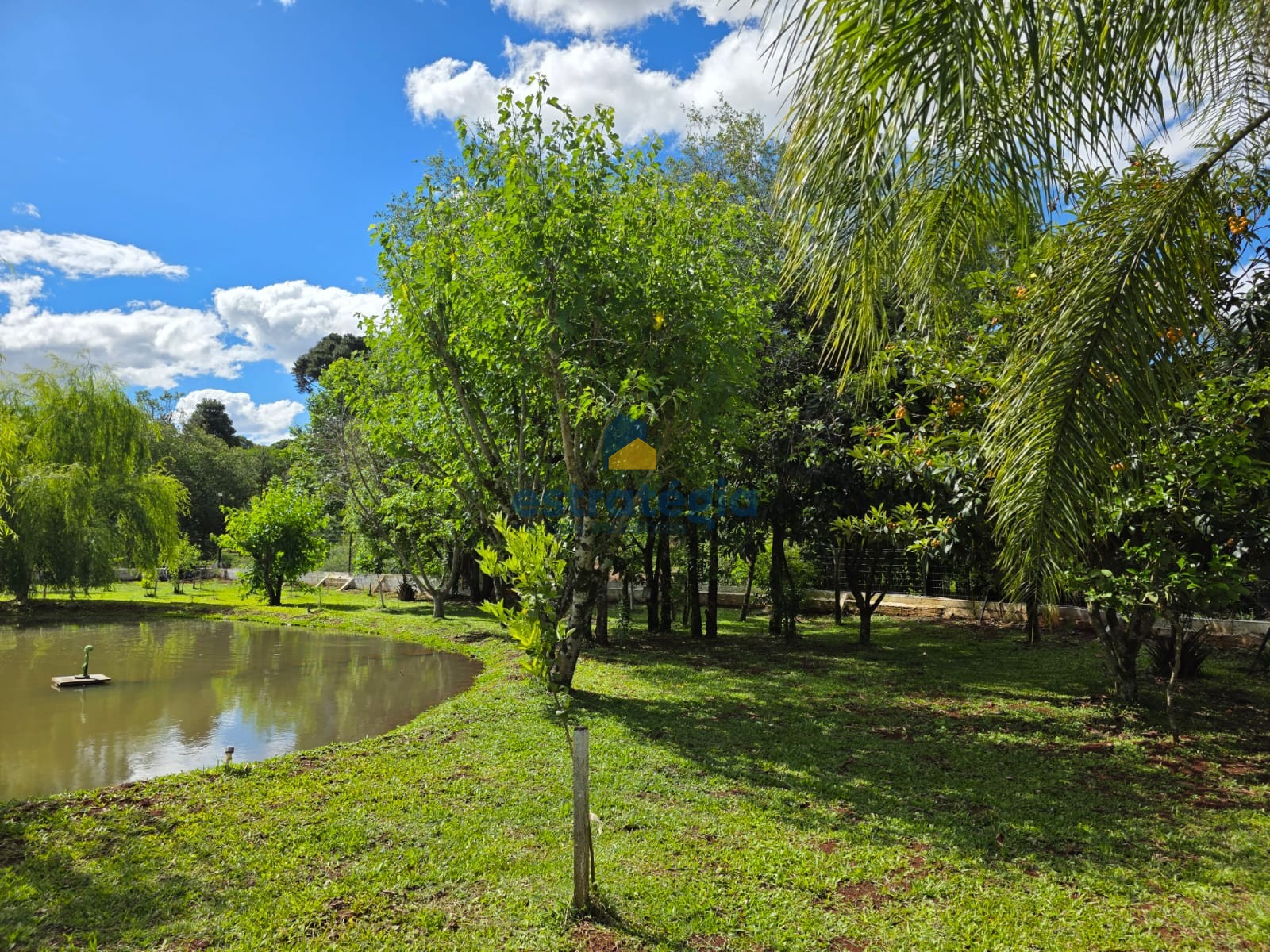 Estratégia Negócios Imobiliários