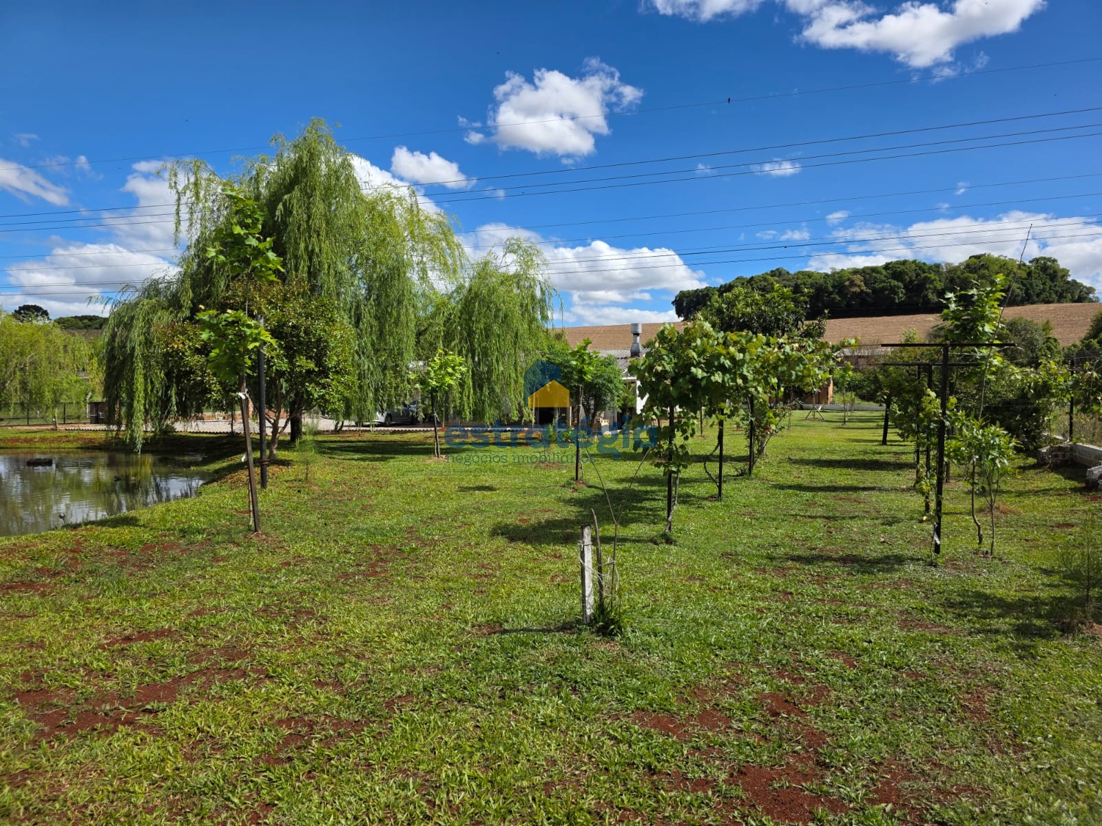 Estratégia Negócios Imobiliários