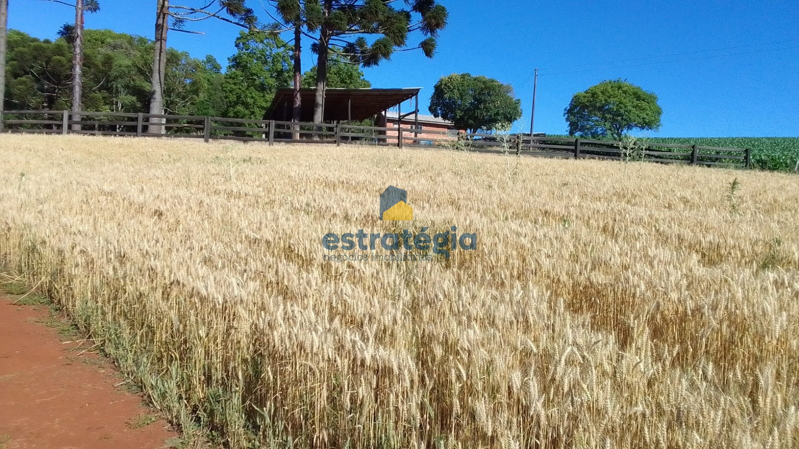 Estratégia Negócios Imobiliários