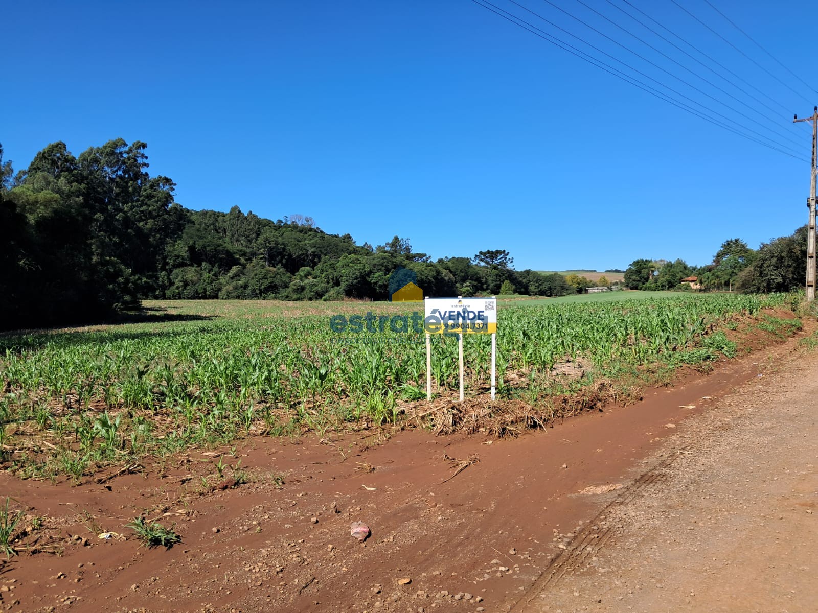Estratégia Negócios Imobiliários