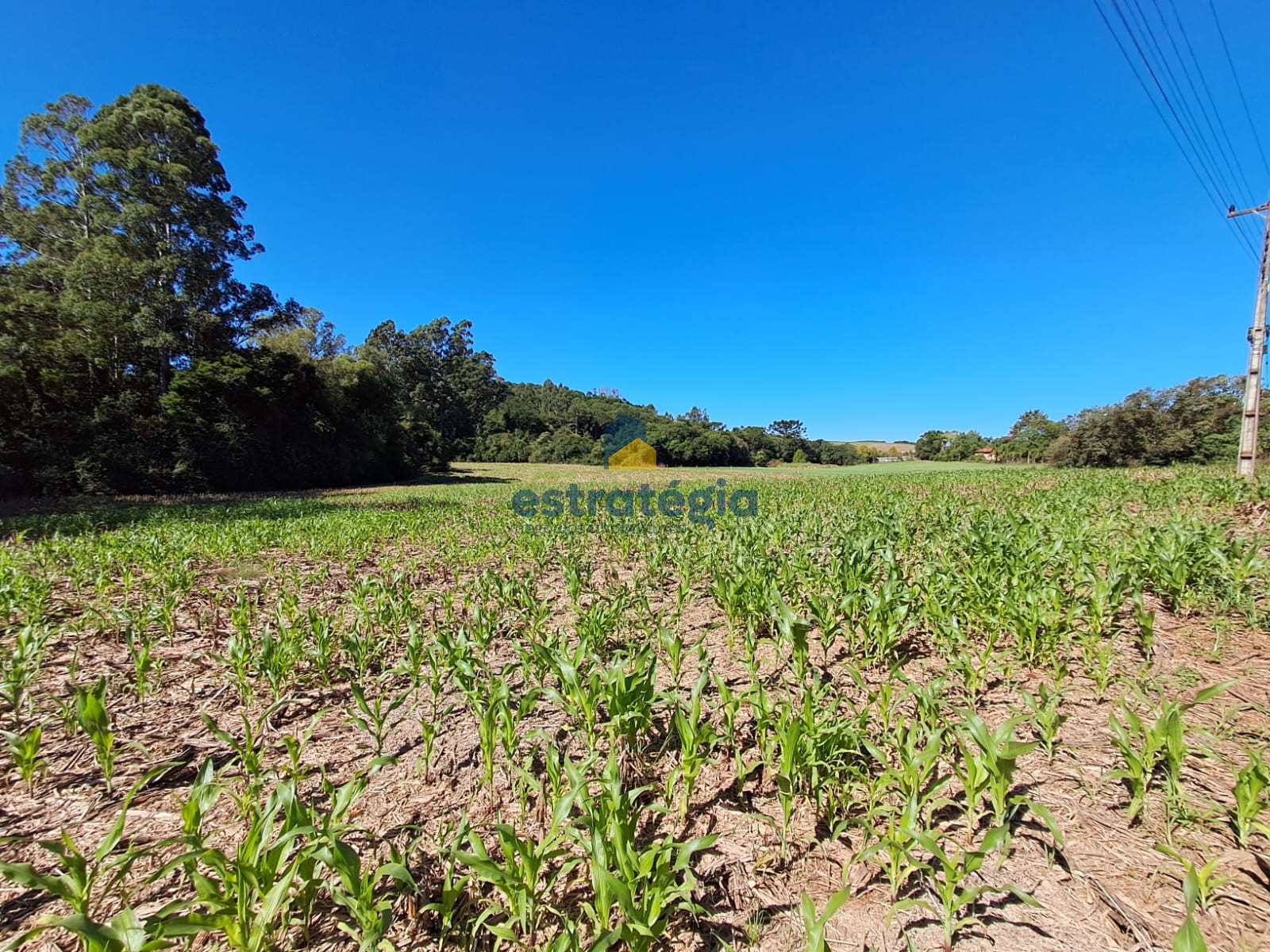 Estratégia Negócios Imobiliários