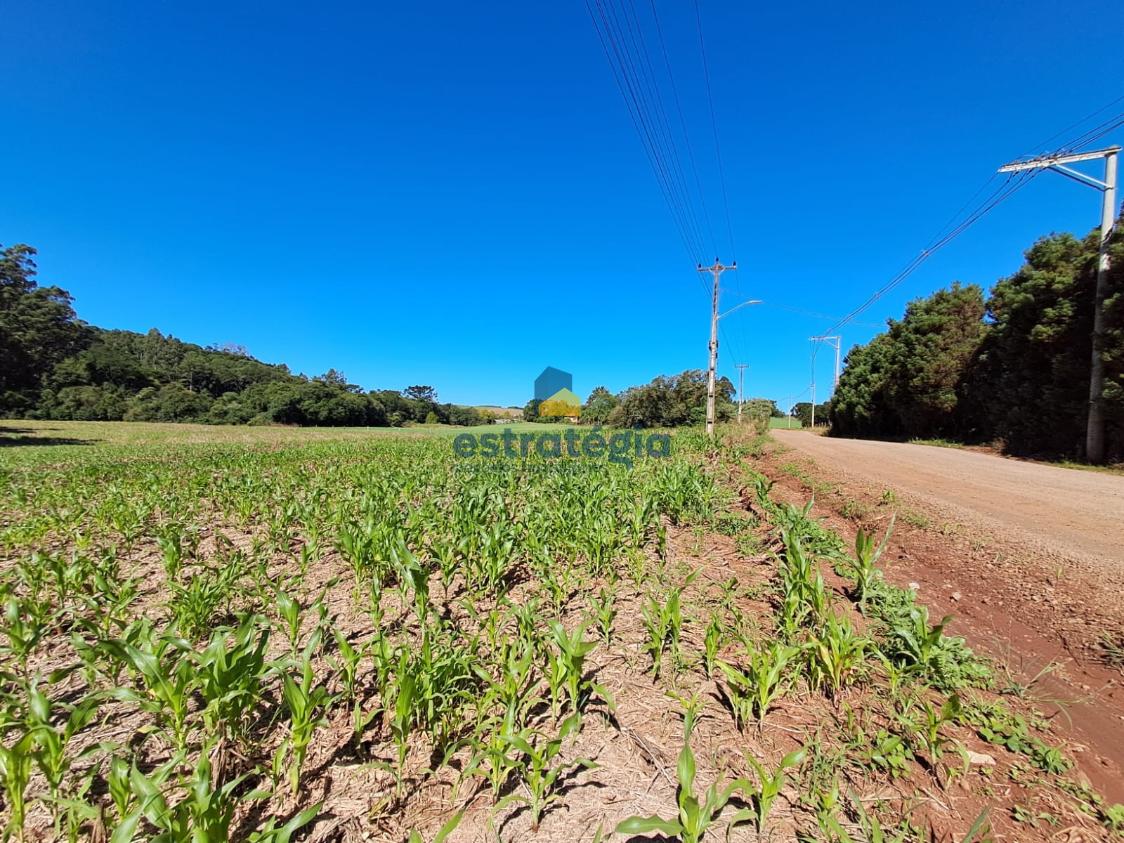Estratégia Negócios Imobiliários