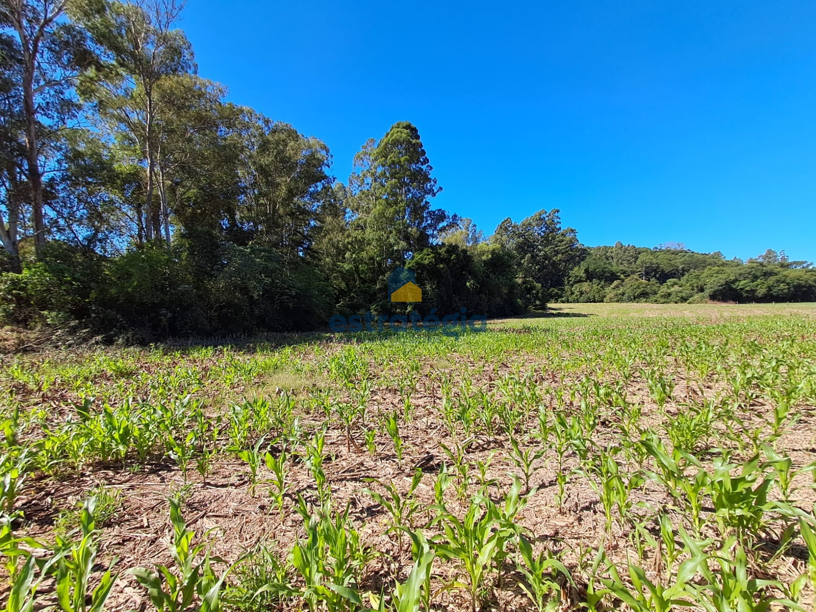 Estratégia Negócios Imobiliários